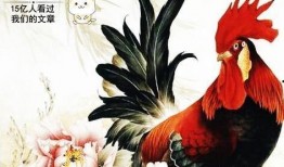 属鸡的女人 在线观看,在线观看独特风采