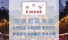 深圳网红小松爆料视频,视频背后的真实故事