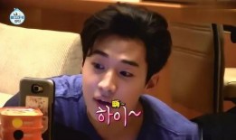 嘴哥爆料刘宪华视频播放,刘宪华视频播放背后的故事